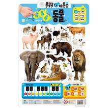 콕콕콕 사운드 유아학습 벽보 동물, 키움터