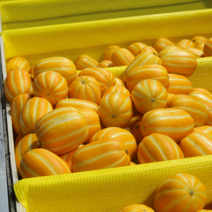 성주 참외 고당도 꿀참외 가정용 선물용 백화점 2kg 3kg 5kg 10kg, 특 참외 5kg