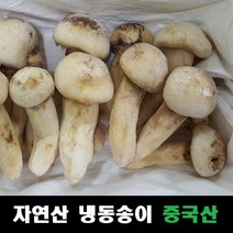 2kg새송이버섯국내산 추천 인기 판매 순위 TOP