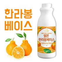 {더케어위닛} 쉘몬 한라봉 농축액 1kg (과육), 9개
