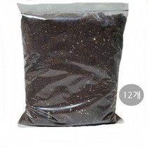 트리앤 굵은(오바끼) 스투키 40cm-6촉이상 1개, 02. 식물이 잘자라는 상토흙1L(11개) 1개