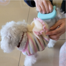 비숑빗 고양이 사랑빗 포메빗 펫브러쉬 블루 강아지털빗