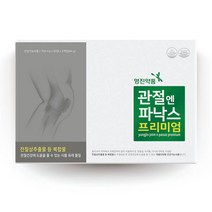 영진약품 관절엔파낙스(120정) 개별인정형 관절팔팔, 1개