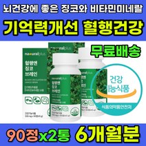 기억력에좋은 기억력좋아지는 영양제 뇌영양제 징코 혈행 기억력 개선 식약처인증 은행잎추출물 징코플러스 징코빌로바 뇌건강 두뇌건강 뇌에좋은영양제 뇌기능 뇌세포 보호 기억력감퇴