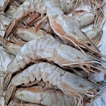 자연산 대하 1kg 냉동대하 냉동새우 왕새우, 단품