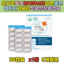 온가족 프로바이오틱스 200억 특허받은 김치 유산균 특허 아연 셀렌 식물성 장용 특수코팅캡슐 200억 비피더스균 가세리 LGG 람노서스 직장인 임산부 수유부