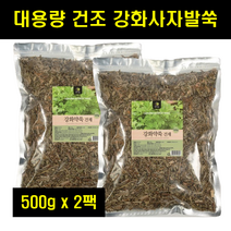 강화사자발쑥 강화섬쑥 강화도 사자발쑥 인진쑥 애엽 마른 말린 건조 쑥 건쑥 대용량 100% 100프로 100퍼센트 500g 2팩