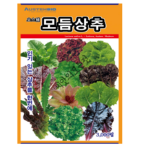모듬상추씨앗 종자 3000립 오스템바이오, 01.모듬상추(오스템)