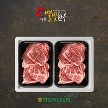 [영천별빛한우] [냉장][영천축협] 실속구이세트 1호(등심x2) 1kg, 상세 설명 참조
