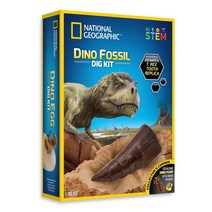 밤나무-내셔날지오그래픽 화석발굴 공룡이빨 029653, 단품없음