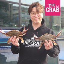 당일조업 산지직송 제철 활꽃게 생물꽃게, 1개, 활꽃게 2kg (5-12미/생물 얼음포장)