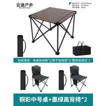 접이식식탁의자 에그롤테이블 알루미늄테이블 의자휴대 외부용 허리편한의자, T13- 의자2개