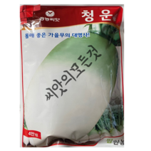 청운무 씨앗 4만립 가을 김장무 종자 대포장 대용량 반되 무씨 팜한농, 1개