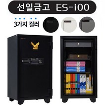 선일금고 루셀 NEW ES-100 내화금고 205kg 가정 사무 개인금고, 색상:그레이콤비