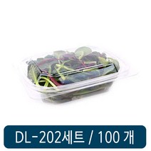 DL-202/일회용반찬통/샐러드용기/투명도시락/과일도시락/반찬용기/포장용기/일회용용기, 본품선택, DL 202 검정 세트 100개