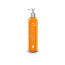 Andalou Naturals 메이어 크리미 레몬 클렌저 비타민 C 178ml