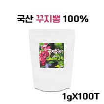 꾸지뽕 차 효능 꾸지뽕차 100개 티백 효과 꾸지뽕잎차 국내산 100% 구지뽕차 꾸지뽕티백 꾸찌뽕 삼각티백