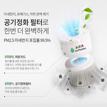 피톤치드 차량용 방향제 제스퍼 에어피톤 리필, 피톤치드1
