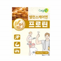WPI 식물성 단백질 쉐이크 보충제 소이프로틴 근육 단백질 파우더 비건 프로틴 분리대두단백 가성비 10곡물