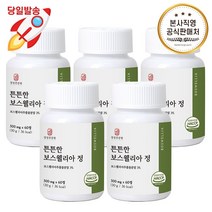 경성건강원 튼튼한 보스웰리아 프리미엄 정 콘드로이친Q 쇠 무릎 뿌리 상어 연골 어골 칼슘 초록잎홍합 관절 영양제, 5.도담 보스웰리아 정 5통
