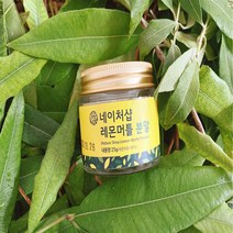 레몬물만들기 물에타먹는 다이어트 레몬 분말 25g