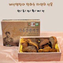 상황버섯 (상품) 300g 뽕나무 건조 말린 목질진 흙버섯 상목이 원물 버섯선물세트 무농약 안동 농장 가족 부모님 자연 보양식품 베타글루칸 단백질 식이섬유 20년동안오직버섯만을연구, 1박스