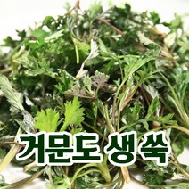 삼시세끼연구소 향긋한 거문도 생쑥 햇쑥 쑥 해풍생쑥 생쑥나물 500g 1kg 4kg 생 쑥떡 쑥국 쑥버무리 만들기, 거문도 생쑥_500g