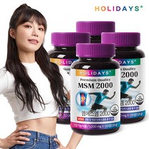 홀리데이즈 관절&연골 건강 미국산 MSM2000 x 4병 총8개월분, 없음, 상세설명 참조