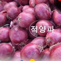 해남 적양파(자색양파) 신선농장, 10kg