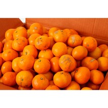 [조은돌담] 제주직송 새콤달콤 하우스감귤 우리아이간식 꼬마(한입)소과 1.5kg/2.5kg/4.5kg, 2.5kg, 1박스