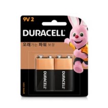 듀라셀 알카라인 건전지 9V, 2개입, 2개