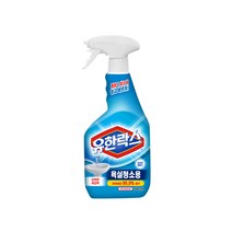 NEW 유한락스 욕실청소용 세정제 은은한 꽃향기, 500ml, 1개