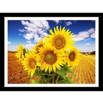 히여 해바라기 한묶음 액자형 보석십자수 DIY 패키지 BH-069 40 x 30 cm, 1세트