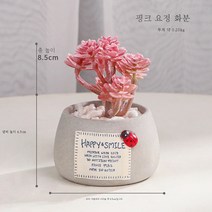 Stevevivian 즙이 많은 식물의 북유럽 미니 시뮬레이션 화분에 거실 사무실 데스크톱 녹색 식물 장식 미세 랜드 스케이프 장식 분재, 핑크 요정