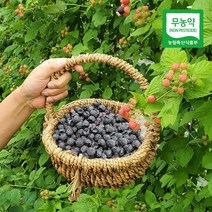 [산지직송] 전남 보성 무농약 토종 복분자(급냉) 4kg, 단품