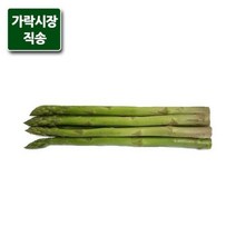 가락시장직송 아스파라거스 500g, 단품