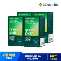 GC녹십자웰빙 그린픽 간건강 밀크씨슬 800mg x 30정 x 4박스(4개월)