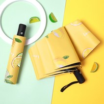 코일리룸 3단 자동 우산 양우산 암막 양산 접이식 우산