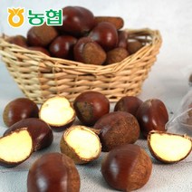 [농협] 속이 꽉찬 순창 햇 알밤(특품) 1kg / 꿀밤 맛밤 공주밤 정안밤 옥광밤, 순창 햇 알밤(특품) 5kg, 1개