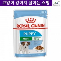 면역력강화 소형견전용 습식사료 반려습식사료 스피츠 시추 비숑