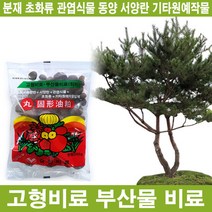 고형비료/관엽식물/초화류/원예작물/효과지속/성장촉진