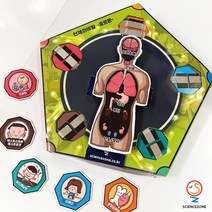 사이언스존 [인체의 비밀-호르몬 1인용] 생명과학 생물 과학실험 과학교구 과학실험키트 만들기키트 diy키트 학습교구