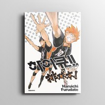 하이큐 파이널 컴플리트 가이드북 만화 책 / 후루다테 하루이치 / Haruichi Furudate 지음 / 대원씨아이