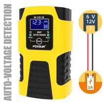 FOXSUR-지능형 자동차 배터리 충전기 6V 12V 오토바이 트럭 AGM 납산 자동 수리 탈황제 액세서리, EU Plug, EU Plug