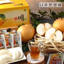 나주한영배 나주 맑은도라지배즙 130mlx20포 2222045, 20포, 130ml