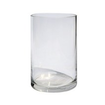 그린테라피 개운죽 키우기실내공기정화식물 수경재배 행운목 수경식물, 유리원통(8x20cm), 1개