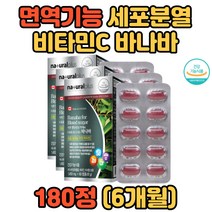 온가족 세포보호 면역기능 세포분열 철 흡수 바나바 수험생 비타민C 미네랄보충 결합조직형성 명절선물 추석선물 부모님선물 20대 30대 40대 50대 60대 70대 80대 직장인