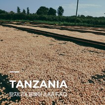 [생두] 탄자니아 음베야 AAA FAQ 5kg