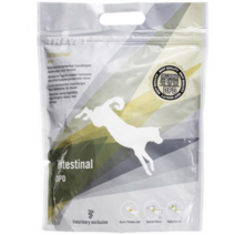 트로벳 인테스티날 설사 장염 대장염 처방사료, 2개, 1.13kg