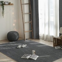 벨기에 유럽 친환경인증 단모 수입 카페트 (200x300cm) (차콜), 본품